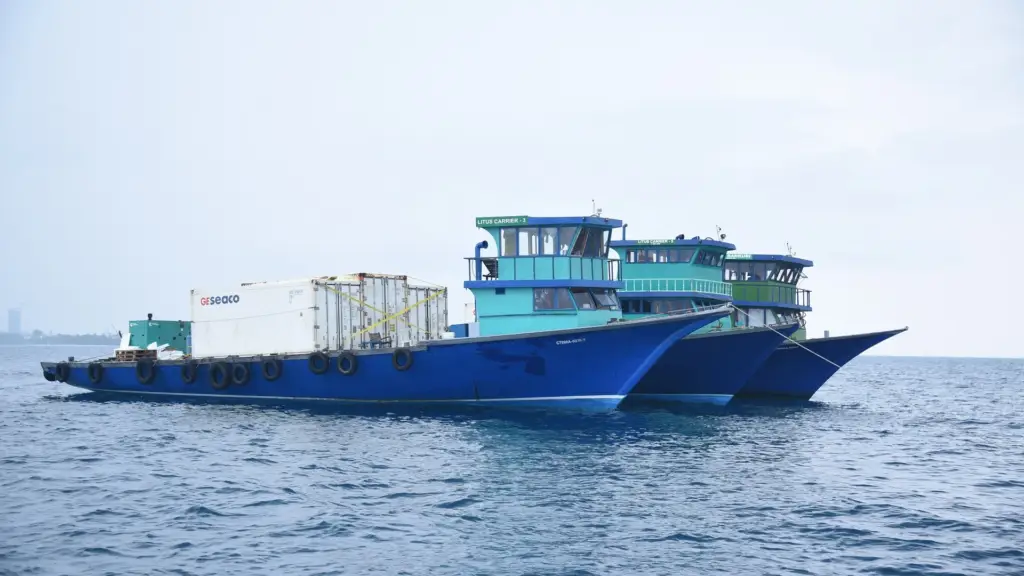 Fleet image 3
